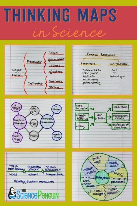 Using the 8 Thinking Maps in Science: Examples and Pics. Input and Output. Making connections. Thinking Map, Thinking Maps, 7th Grade Science, Dysgraphia, Science Notebook, 8th Grade Science, Interactive Science, Science Notebooks, 4th Grade Science