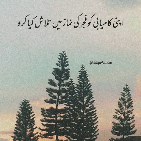 G O L U ‘ M O L U 🧸 on Instagram: “Apni Kanyabi Ko Fajar Ke Namaz Ma Talash Karo '” Fajar Namaz Quotes In Urdu, Fajar Prayer Quotes, Fajar Namaz Quotes, Namaz Fajar, Fajar Prayer, Namaz Quotes, Urdu Post, Beautiful Profile, Henna Art Designs