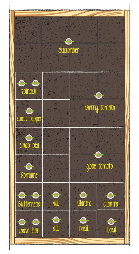 Square Foot Gardening Layout, Plantarea Legumelor, Square Foot Garden, Funny Vine, Vegetable Garden Raised Beds, Garden Layout Vegetable, Vegetable Garden Planning, Backyard Vegetable Gardens, Garden Design Layout