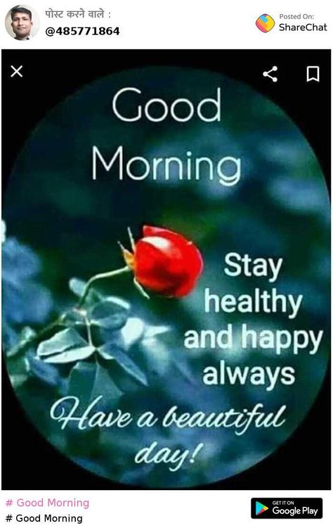 #🌞 Good Morning🌞 👇👇👇 https://sharechat.com/post/DyyjKO4G?d=n Sharechat - Best and Only Indian Social Network - Download Now👇👇👇 👉 https://sharechat.com?d=n Good Morning Wishes Latest, Good Morning Clips, Latest Good Morning Images, Quotes To Start Your Day, Good Morning Massage, Good Morning Dear Friend, Quotes Morning, Latest Good Morning, Good Morning Happy Monday