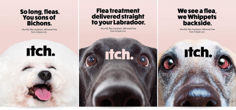 Pet Puns, Pet Advertising, Poster Campaign, Pet Branding, Advertising Creative, Word Nerd, Vet Clinics, Dog Branding, Best Ads