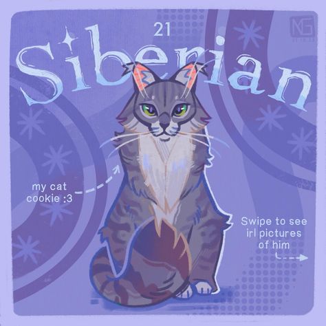 All Posts • Instagram Siberian Cat Drawing, Siberian Cats, Cat Cookies, Heart Muscle, Siberian Cat, Artist Drawing, Draw Your, 3 I, Cat Drawing