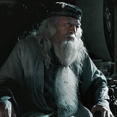 Albus Dumbledore Aesthetic, Dumbledore Aesthetic, Hogwarts Teachers, Harry Potter Sketch, Harry Potter Marathon, Harry Potter Dumbledore, Michael Gambon, Cedric Diggory, Harry Potter Pictures