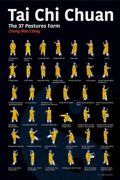 Tai Chi Aesthetic, Tai Chi Moves, Health Games, Tia Chi, Culture Illustration, Parkour Training, Tapping Eft, Tai Chi For Beginners, Learn Tai Chi