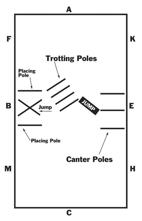 Pole Exercises For Horses, Jenny Richardson, Pole Exercises, Horse Jumping Exercises, Riding Ideas, Dressage Exercises, Horse Training Exercises, Horseback Riding Lessons, Horse Lessons