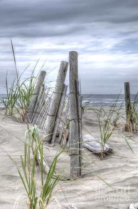 Beach Scene Painting, Painting On Canvas For Beginners, Beach Path, Beach Art Painting, Seascape Photography, Canvas For Beginners, Beach Landscape, Nature Tattoos, Beach Painting