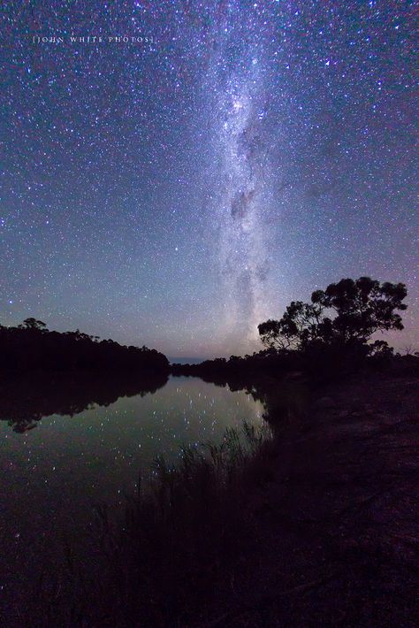 Night, Murray River South Australia by John White Photos Gibb River Road, Australia Landscape, Beautiful Australia, Murray River, Long Weekend Getaways, Australia Beach, Australia Photos, Wilderness Camping, Outback Australia