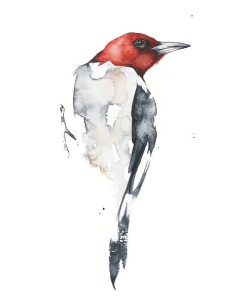 Woodpecker Watercolor, Bird Artists, Learn Watercolor Painting, Watercolor Paintings Nature, Bird Watercolor Paintings, Watercolor Art Paintings, Watercolour Inspiration, Watercolor Painting Techniques, Bird Artwork