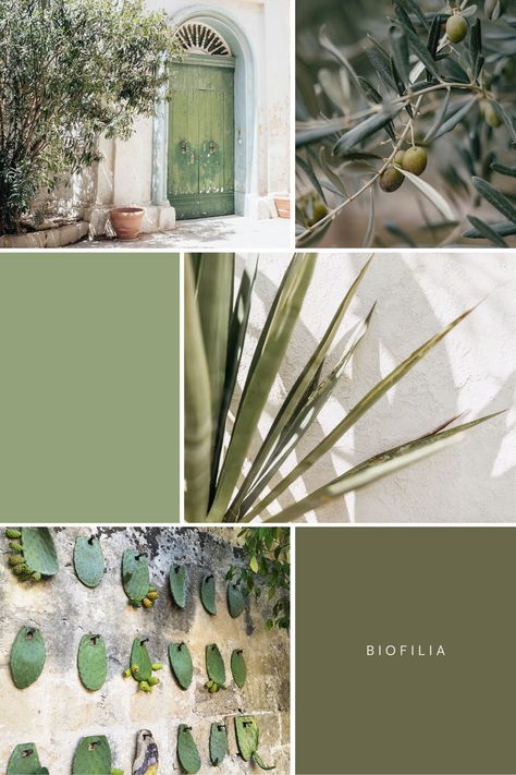 How To Create The Perfect Italian Color Scheme for Your Home Mediterranean Paint Colors Interior, Italian Color Palette, Mediterranean Color Scheme, Mediterranean Color Palette, Two Tone Walls, Mediterranean Styles Interior, Italian Interior Design, Colour Consultant, Mediterranean Design