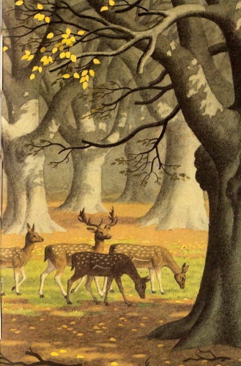 Helen Day Art, Japanese Tree, Deer Illustration, Autumn Illustration, School Murals, Vintage Deer, Ladybird Books, Book Illustration Art, Vintage Poster Art