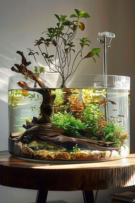 Discover the benefits of a biologically diverse planted tank with our biodiversity-focused aquascaping ideas. Learn how to create a balanced ecosystem that supports a wide range of aquatic life, from microorganisms to fish and plants. For advice on building and maintaining a biodiverse aquarium, check out our blog. Freshwater Planted Aquarium Ideas, Aquarium In Room Aesthetic, Fish Tank Scapes, Terrarium Ecosystem With Animals, Freshwater Community Tank, Fish Tank In Office, Ecosystem Fish Tank, Live Plant Aquarium Ideas, Office Aquarium Ideas