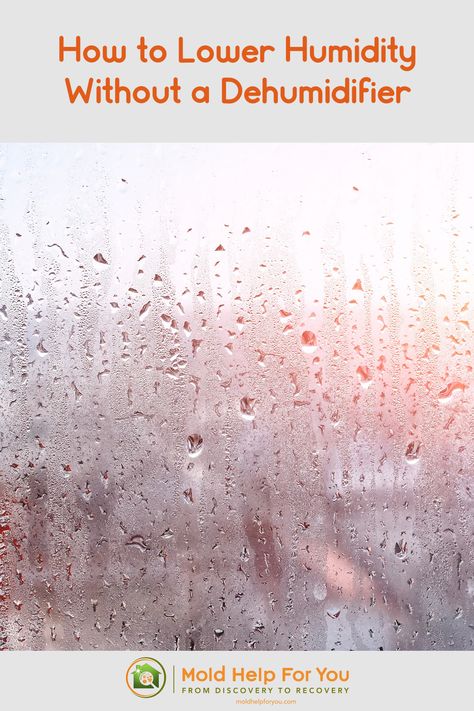 Looking out from an interior window that has a lot of condensation dripping from humidity How To Reduce Humidity In Home, Natural Dehumidifier, Mold Prevention, Toxic Mold, Cleaning Mold, Diy Wardrobe, Mold Growth, Dehumidifiers, Mold Remover