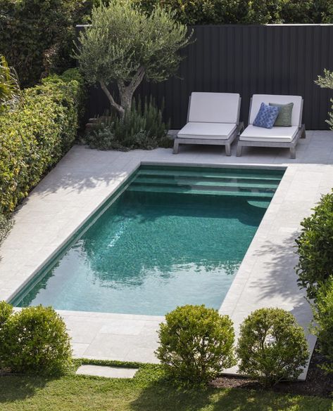 Harbourside Garden — When considering privacy in the garden, avoid relying on one single species and install groups of plants that add depth and dimension instead. The pool area to the rear of the garden makes for easy living and entertainment. Designed and built by our team it features handmade Moroccan glazed tiles which were individually sanded for a smooth finish to the interior of this pool. The oversized soft grey limestone coping was chosen to complement the turquoise waters.⁠ Pools For Small Backyard Budget, Plunge Pool Backyard, Small Pools Backyard Inground, Small Pools Backyard, Garden Pool Design, Small Inground Pool, Moderne Pools, Dream Backyard Pool, Kleiner Pool Design