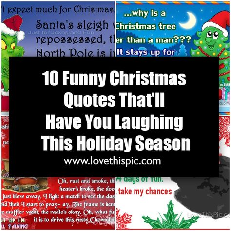 10 Funny Christmas Quotes That'll Have You Laughing This Holiday Season Funny Christmas Shopping Quotes, Happy Holidays Quotes Funny, Funny Christmas Poems Hilarious, Christmas Funnies Humor, Silly Christmas Quotes, Anti Christmas Humor, Snarky Christmas Quotes, Christmas Break Quotes, Christmas Humor Quotes