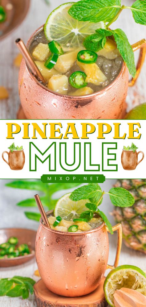 In the mood for a cool cocktail? Learn how to make a Pineapple Mule! It's an easy spring recipe. Mixed with the spicy kick of jalapeño, this Moscow Mule variation is everything you want in a refreshing alcoholic drink! Pineapple Mule Recipe, Mule Drink Recipes, Pineapple Moscow Mule, Moscow Mule Variations, Pineapple Mule, Mule Cocktails, Spring Drink Recipes, Easy Spring Cocktails, Fruity Cocktail Recipes