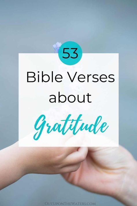 These Bible verses about gratitude remind us to give thanks in all circumstances, to be grateful for each other, for the things that bring us joy, and even for the obstacles and times of testing in our lives. They remind us to be grateful for the gift of salvation and the promise of resurrection and the restoration of all things. Bible verses about thankfulness, about thanking God, and about gratitude. #gratitudebiblequotes #gratitudebiblestudy Scripture For Gratitude, Bible Verses About Gratitude, Gratitude Bible Verses, Verses About Thankfulness, Verses About Gratitude, Thankful Verses, Pastor Wife, Psalm 110, Give Thanks In All Circumstances