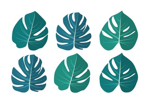 Monstera leaf isolated on white background. Vector Illustration Monstera Leaf, Vector Art, Plant Leaves, White Background, Vector Free, Vector Illustration, This Is Us, Cricut, For Free