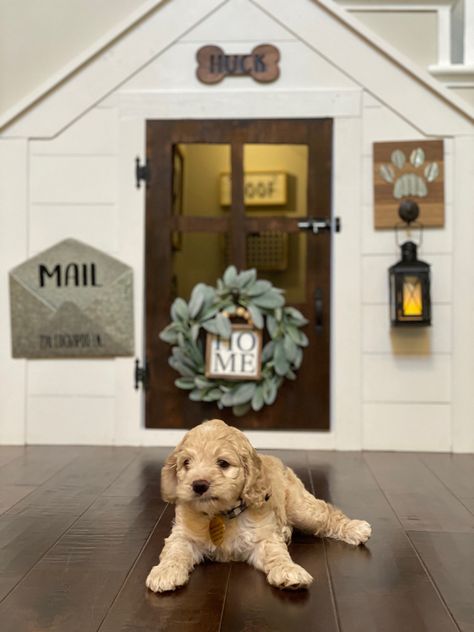 We built a cute little dog house for our new pup to come home to! Built In Dog Bed Under Stairs, Built In Dog House In Wall, Dog House Painting Ideas, Built In Dog House, Dog Room Under The Stairs, Dog House Under Stairs, House Under Stairs, Dog Under Stairs, Walnut Staircase