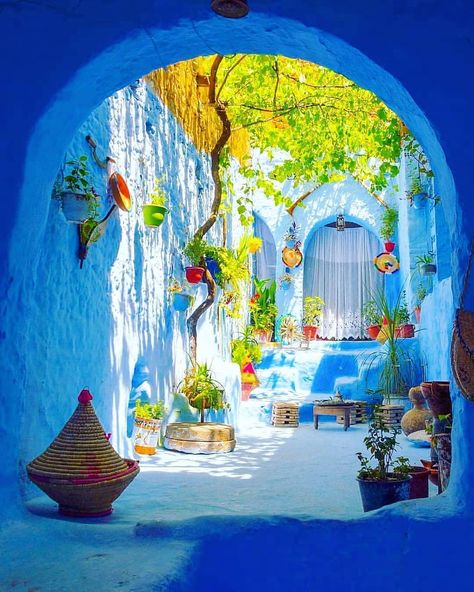 Blue City Morocco, Chefchaouen Morocco, Desert Tour, Hawaii Luau, Morocco Travel, Jules Verne, Blue City, Camping Experience, Travel Aesthetic