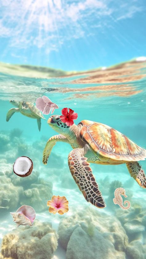 Rosemary Jelly, Sea Turtle Wallpaper, Turtle Pictures, Sea Turtle Pictures, Turtle Wallpaper, Wallpapers Ideas, Jelly Recipe, Branding Mood Board, Cute Turtles