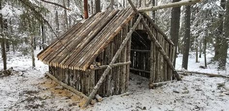 We use dead wood found on our property to construct a off grid bushcraft cabin. Bushcraft Cabin, Diy Log Cabin, Outdoors Aesthetic, Larp Props, Bushcraft Shelter, Off Grid Survival, Viking Cosplay, Earth Bag Homes, Bush Craft