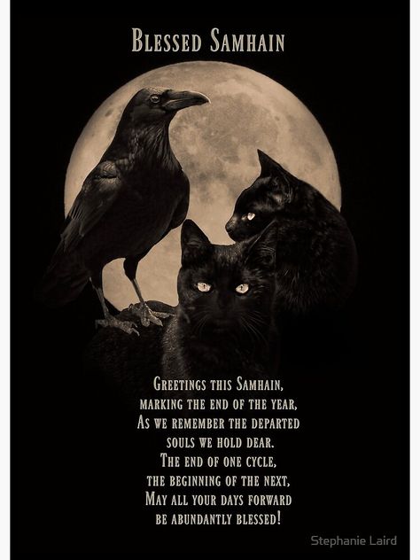 Celtic Samhain, Samhain Blessings, Blessed Samhain, Wiccan Sabbats, Departed Soul, Pagan Magic, Samhain Halloween, Witch Spirituality, Cat Greeting Cards