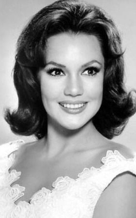 Perry Mason, Celebrities Then And Now, Miss America, Mary Ann, Big Hair, Classic Beauty, Beauty Queens, Hollywood Glamour, Vintage Beauty