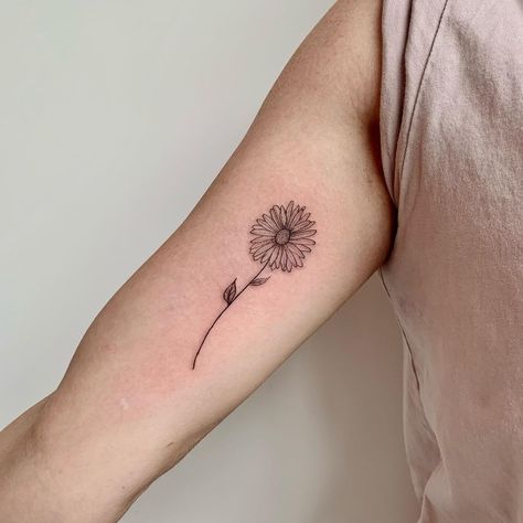 Astra Flower Tattoo, Black And White Aster Tattoo, Aster Flower Tattoo September, Aster Tattoos, Tattoos Trending, Aster Flower Tattoo, Aster Tattoo, Aster Flower Tattoos, Butterfly Ideas