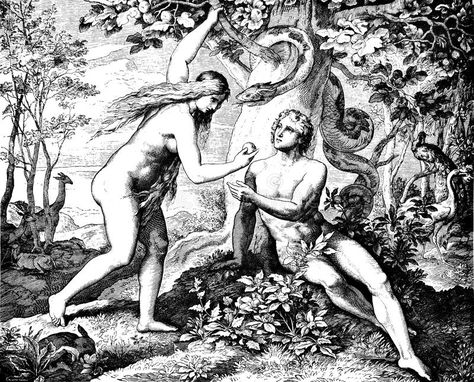 Fruit Picture, Apple Art, Forbidden Fruit, Old And New Testament, Garden Of Eden, Adam And Eve, Life Pictures, Old Testament, New Testament