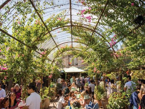 Greenhouse Cafe, The Grounds Of Alexandria, Vertical Farming, Eco Warrior, Sydney City, Outdoor Cafe, In Season Produce, Cool Cafe, The Grove