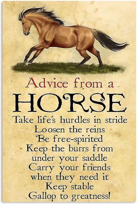 PRICES MAY VARY. Title: Youpinnong Advice From A Horse Vintage Metal Plaque Farm Decor Horse Art Sign Tin Poster For Home Kitchen Dining Room Garden Garage Farm Aluminum Sign Wall Art Decor 12x16 Inch. Product Type: Categories Vintage Horse Art, Horse Poster, Horse Vintage, Garden Garage, Horses Theme, Horse Posters, English Country Style, Room Garden, Horse Decor