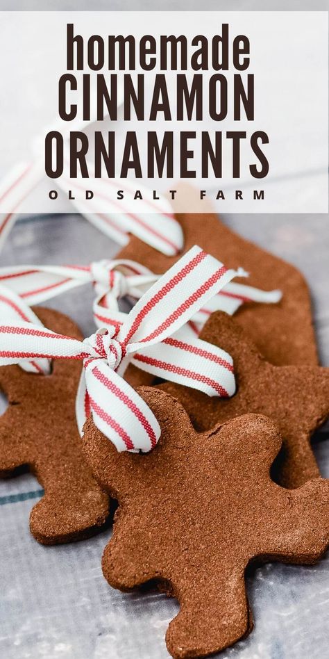 Kids love to make these Homemade Cinnamon Ornaments! They're a great Christmas craft to do together, plus they look and smell amazing! Darling DIY Christmas tree ornaments. Homemade Cinnamon Ornaments, Cinnamon Ornament Recipe, Popcorn Garland, Diy Cinnamon, Cinnamon Ornaments, Gift Jar, Cinnamon Cookies, Diy Christmas Tree Ornaments, Homemade Christmas Decorations