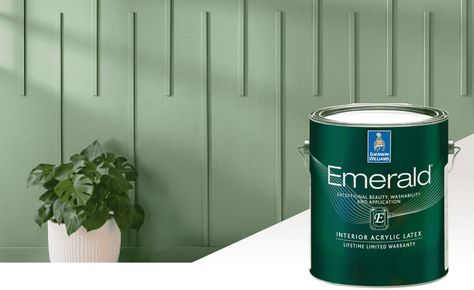 Emerald vs Duration: Which Sherwin Williams Interior Paint Should You Choose? Emerald Interior, Brush Roll, Interior Projects, Paint Cans, Mold And Mildew, Sherwin Williams, Interior Paint, Dark Colors, You Choose