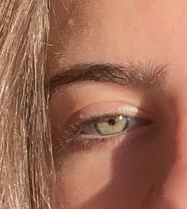 Pale Green Eyes Aesthetic, Chaotic Academia Makeup, Pale Green Eyes, Hazel Aesthetic, Academia Makeup, Minimum Makeup, Dark Hair Pale Skin, Yellow Green Eyes, Imagenes Aesthetic