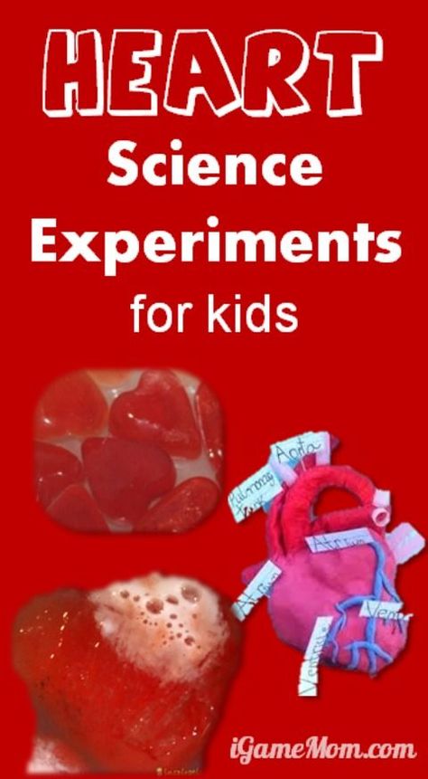 9 heart themed science experiments for kids, great science activities for Valentine Day Heart Experiment For Kids, Valentine Day Science Experiment For Kids, Fizzy Hearts Science, Conversation Heart Science Experiment, Candy Heart Science Experiment, Valentine Science Experiments, Valentine Science, Heart Science, Science Valentines