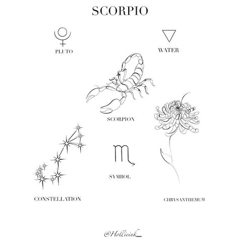 Scorpio And Chrysanthemum Tattoo, Hand Tattoos Skull, Scorpio Sign Tattoos, Tattoos Celtic, Tattoos Foot, Scorpio Constellation Tattoos, Scorpio Zodiac Tattoos, Tattoos Japanese, Tattoos Hand