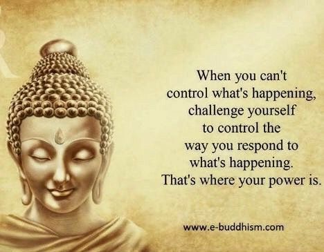 Buddhism For Beginners, Buddhism Beliefs, Buddism Quotes, Buddha Thoughts, Buddha Quotes Life, Buddhist Wisdom, Life Choices Quotes, Quotes Positivity, Buddha Quotes Inspirational