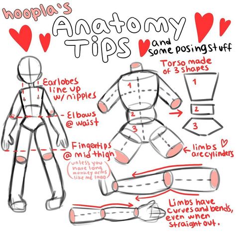 Draw Anatomy, Drawing Hands, Drawing Body Poses, Body Drawing Tutorial, Charcoal Drawings, 인물 드로잉, Anatomy Drawing, Ink Drawings, Poses References