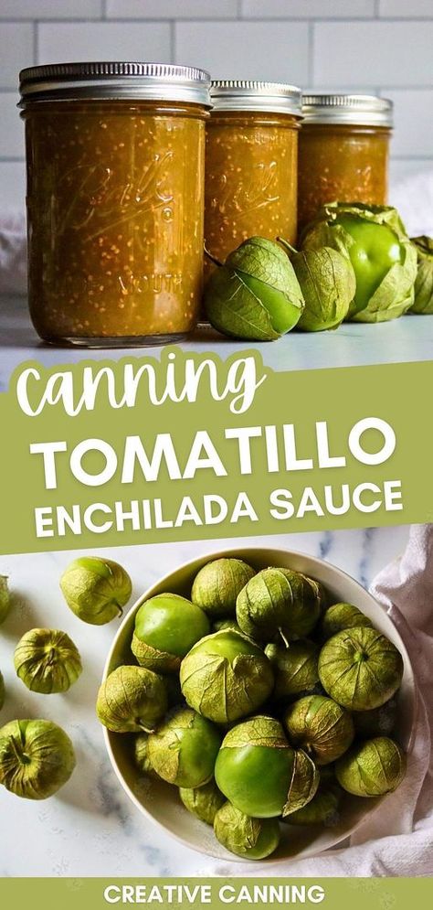 Canning tomatillo enchilada sauce is an easy way to use up a bumper crop of tomatillos. This canning recipe, made with fresh tomatillos, cilantro, garlic, cumin, red chile flakes, and yellow onion, lets you preserve it right on your pantry shelf. Serve with corn tortilla chips or atop enchiladas. Find more preserving food recipes, canning food preservation, home canning recipes, and Tomatillo Recipes for Canning & Canning Tomatillos at creativecanning.com. Uses For Tomatillos, Water Bath Canning Enchilada Sauce, Canning Recipes For Tomatillos, Canned Tomatillo Salsa, Yellow Tomatillo Recipes, When To Pick Tomatillos, Tomatillo Recipes For Canning, Tomatillos Canning Recipes, Tomatillo Recipes Canning