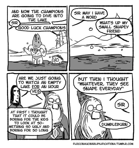 Dumbledore Comics, 4 Panel Life, Glume Harry Potter, Yer A Wizard Harry, Harry Potter Comics, Harry Potter Fanfiction, Harry Potter Jokes, Albus Dumbledore, Harry Potter Love