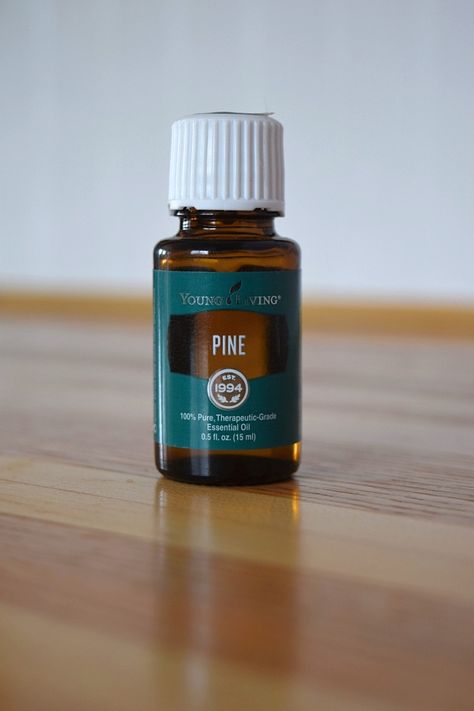 Young Living Pine, Esential Oils, Pinus Sylvestris, Pine Oil, Pine Essential Oil, Candle Scents, Living Essentials Oils, Young Living Oils, Orange Essential Oil