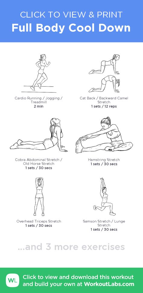 Full Body Cool Down – click to view and print this illustrated exercise plan created with #WorkoutLabsFit Streching Excersise, Cool Down Workout, Stretches Exercises, Abdominal Stretches, Cool Down Exercises, Cool Down Stretches, Full Body Pilates Workout, Workout Labs, Full Body Stretch