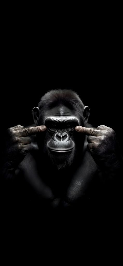 Cool Monkey Wallpaper, Walpepar Hd 3d Black, Masculine Iphone Wallpaper, Dark Animal Wallpaper, 8 K Wallpaper Iphone, Monkey Wallpaper Iphone, Male Wallpaper Iphone, Wallpaper For Men, Gorilla Wallpaper