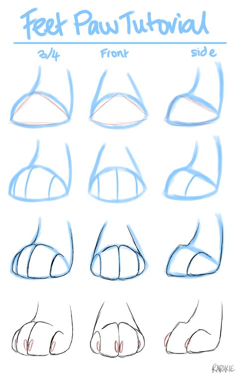 Cat Paws Sketch, Animal Ideas Drawing, Paw Tutorial Drawing, Animal Paws Drawing, Paw Art Reference, Bunny Base Drawing, Paw Hands Drawing, Warrior Cat Anatomy, Cat Tail Reference