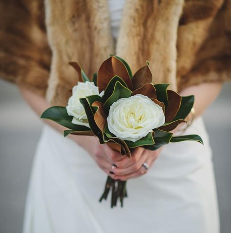 Love this simple, small elegant November bridal bouquet of magnolia leaves and garden roses. 📷 @ericfoleyphotographers #gardenroses #weddingflowers #white #magnolia #simple #elegant #bridalbouquet Magnolias Wedding Bouquet, Magnolia Wedding Flowers, Simple Bridal Bouquet, Simple Bridesmaid Bouquets, Small Bridal Bouquets, Bridal Bouquet Spring, Winter Wedding Photos, Magnolia Wedding, Winter Wedding Bouquet