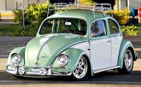 Vw Bug Slammed, Vw Beetle Accessories, Beatles Fashion, Yellow Cars, Hybrid Cars, Hot Vw, Vw Sedan, Vw Classic, Volkswagen Bug