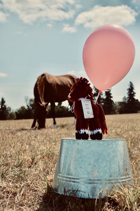 Gender reveal, horse, aqha, mare and foal Gender Reveal With Horses, Horse Pregnancy Announcement, Horse Gender Reveal Ideas, Horse Gender Reveal, Cowboy Gender Reveal Ideas, Western Gender Reveal Ideas, Western Gender Reveal, Country Gender Reveal, Country Babies