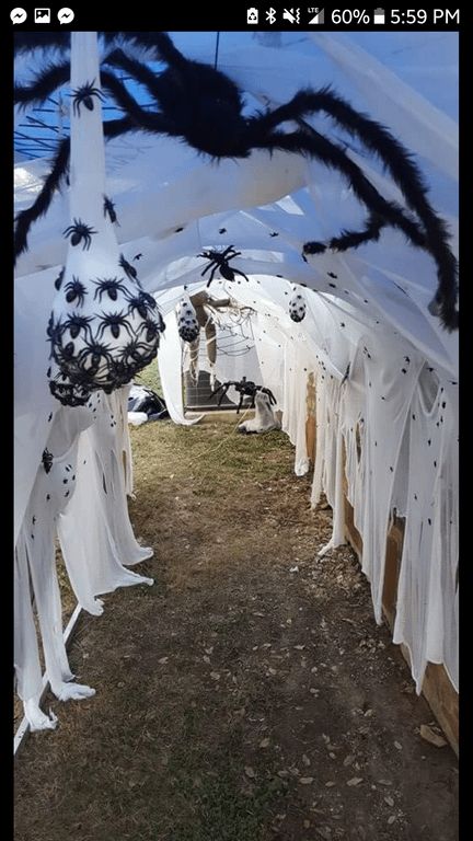 Diy Halloween Tunnel, Halloween Tunnel Ideas, Halloween Tunnel, Haunted Trail Ideas, Haunted House Diy, Windows Ideas, Halloween Spiders, Halloween Diy Outdoor, Halloween Outside