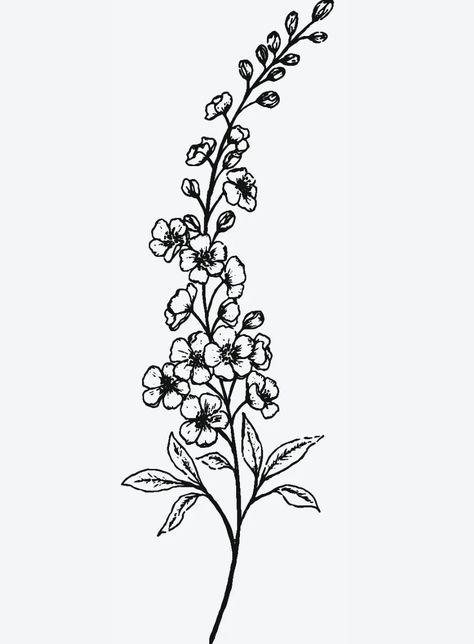 Delphinium Flower Illustration, Larkspur Delphinium Tattoo, Larkspur Line Drawing, Delphinium Tattoo Design, Flowers With Stems Tattoo, Larkspur Fine Line Tattoo, Fine Line Larkspur Tattoo, Realistic Flower Tattoo Black And White, Delphinium Flower Drawing