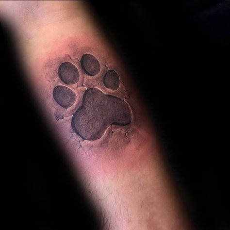 Dog Paw Tattoo Ideas, Rememberance Tattoo, Tattoo Paw Print, Maddy Tattoo, Paw Tattoo Ideas, Dog Paw Print Tattoo, Tattoo Paw, Tattoo Design Stencil, Dog Tattoo Design